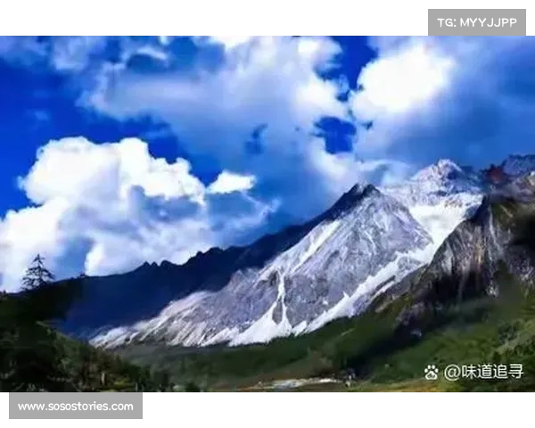 如何在纷繁的世界中找到追寻更有意义生活的秘诀与方法