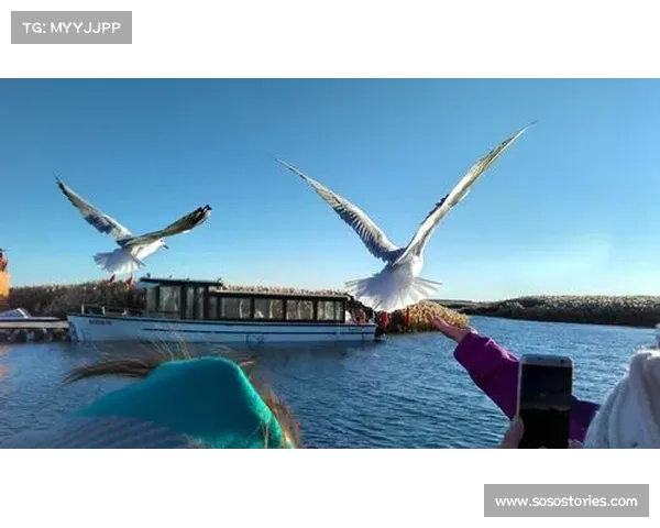 从海瑟尔关视角解析其与多支球队历史与竞技互动关系全景图谱展示